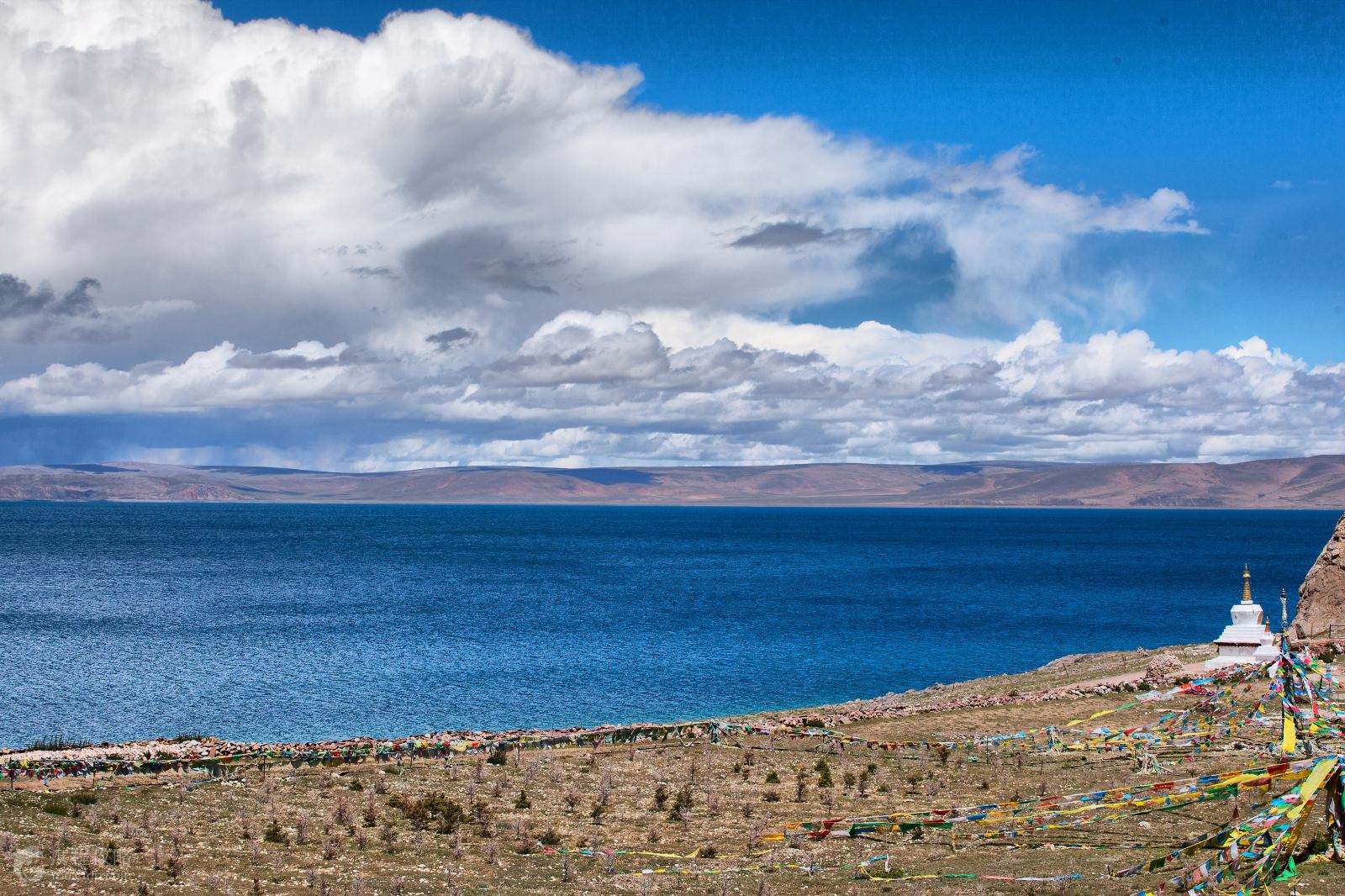 西藏之旅,探寻神秘高原的魅力